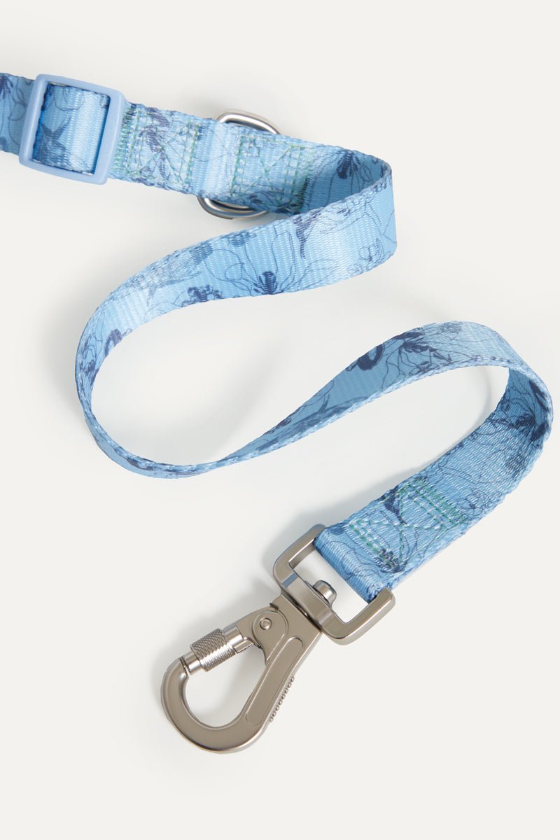 Bridgerton x maxbone Walk Set