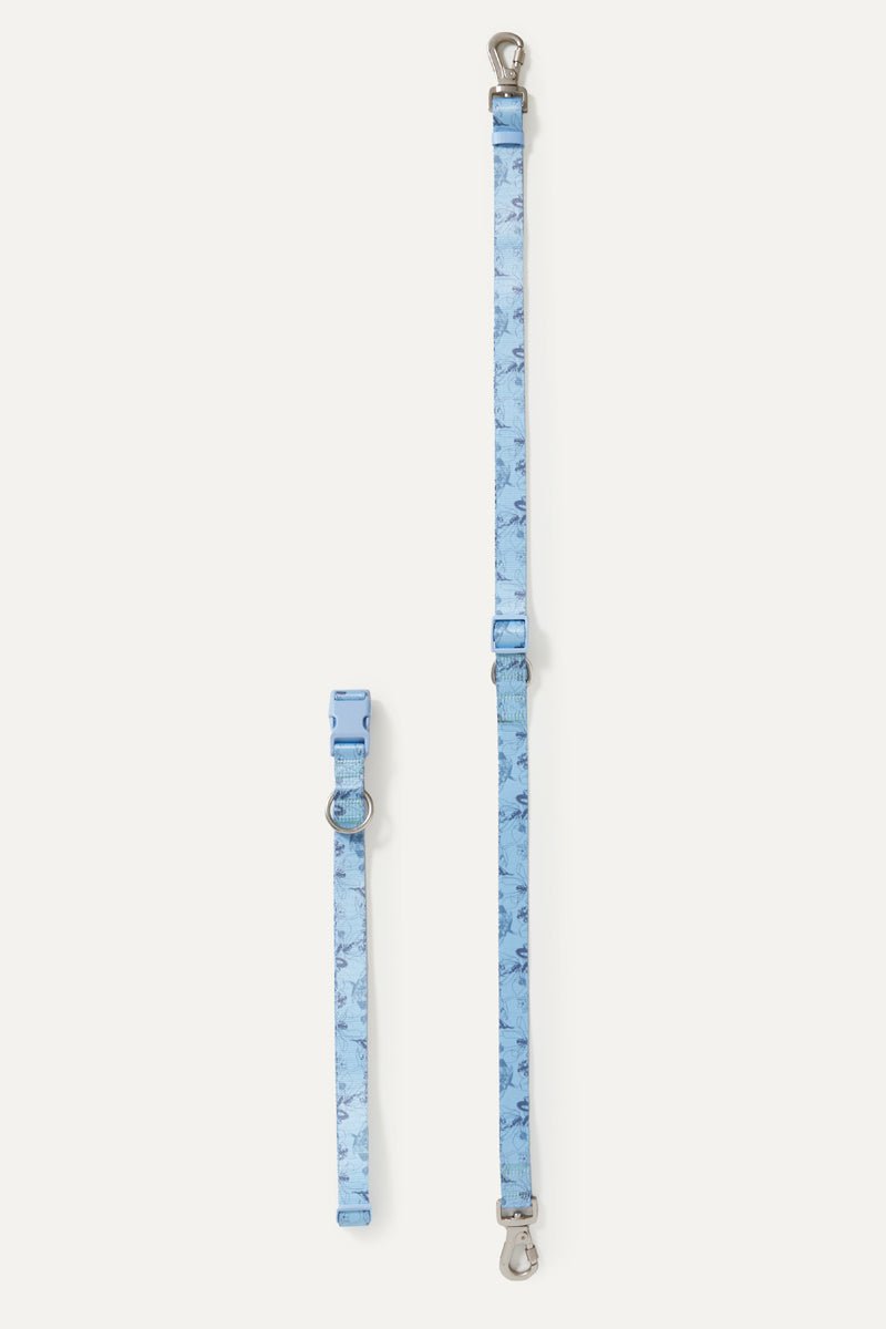 Bridgerton x maxbone Walk Set