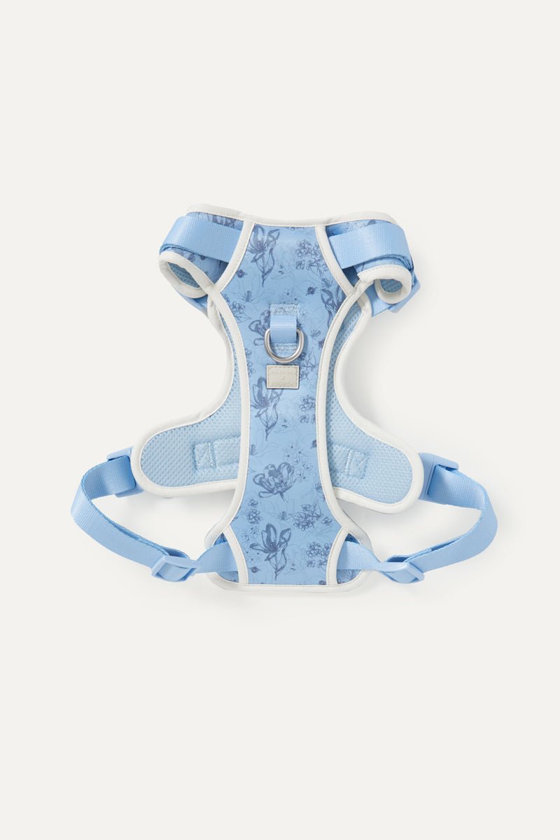 Bridgerton x maxbone Walk Set