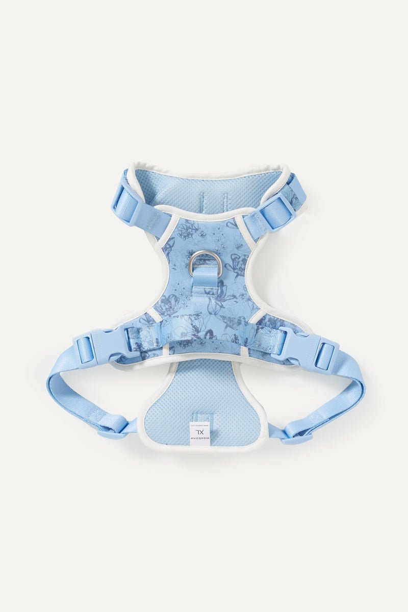 Bridgerton x maxbone Walk Set