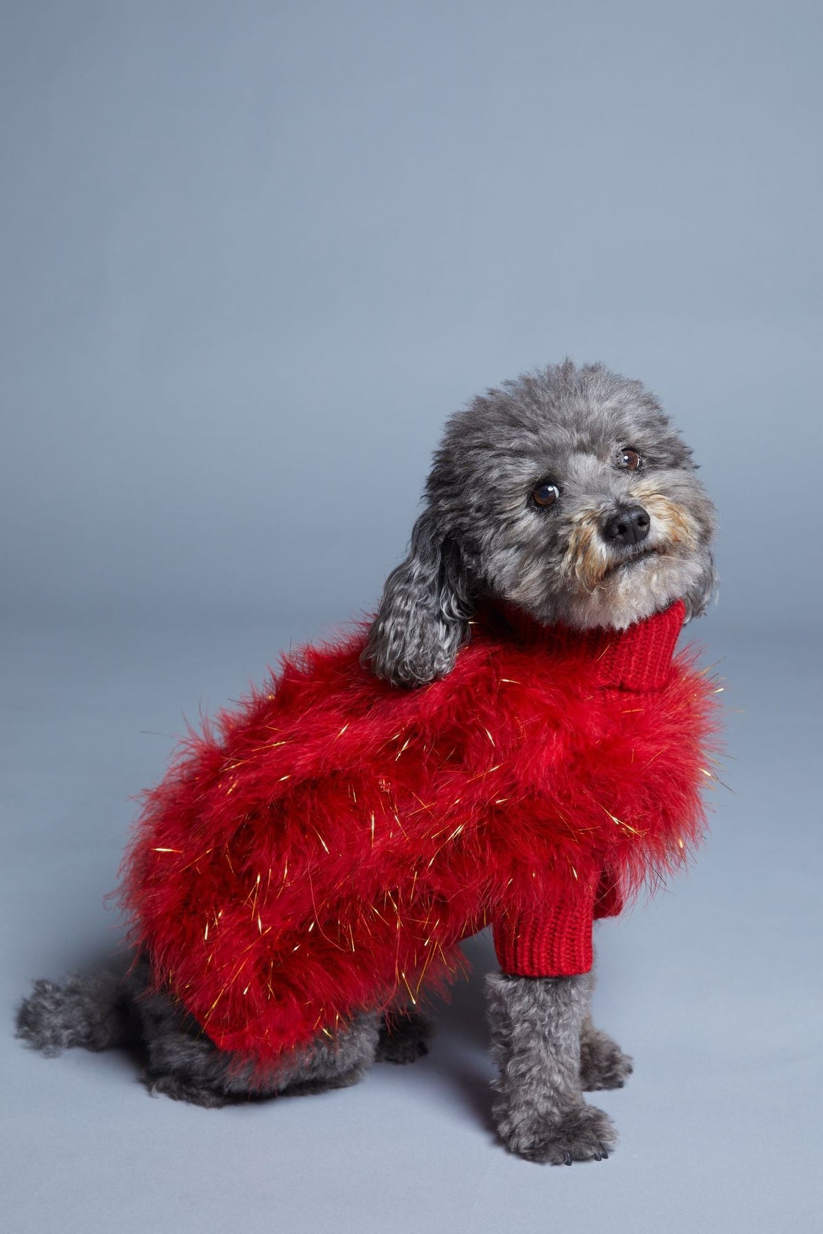 Christian Cowan Holiday Glitz Jumper