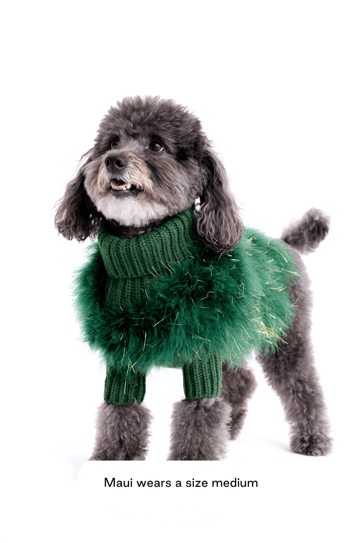 Christian Cowan Holiday Glitz Jumper