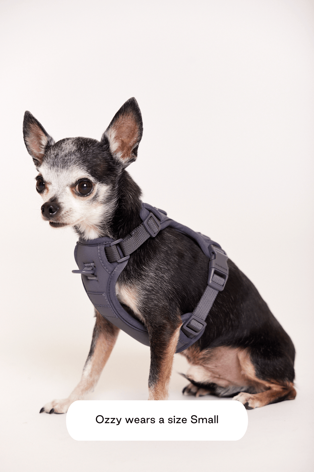 Double Panel Harness
