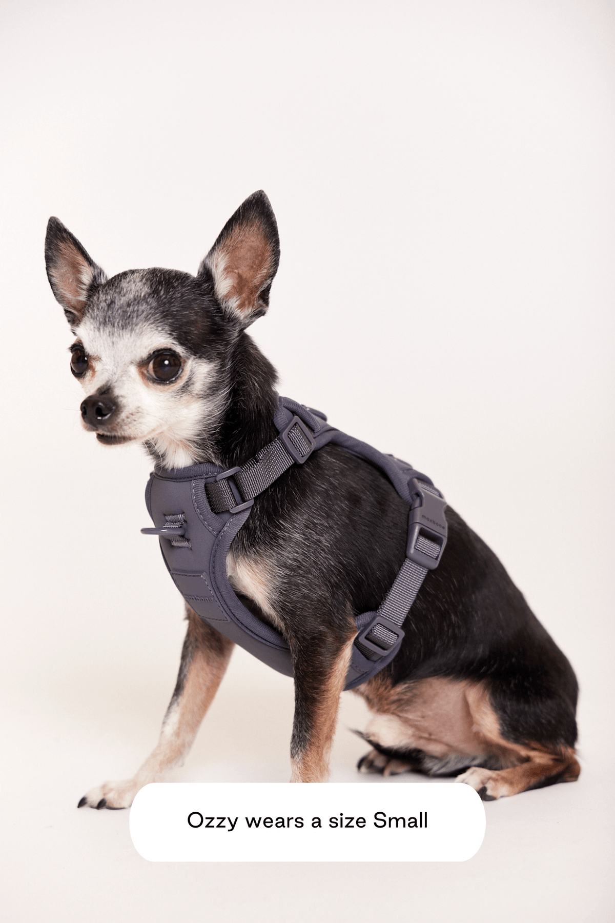 Double Panel Harness
