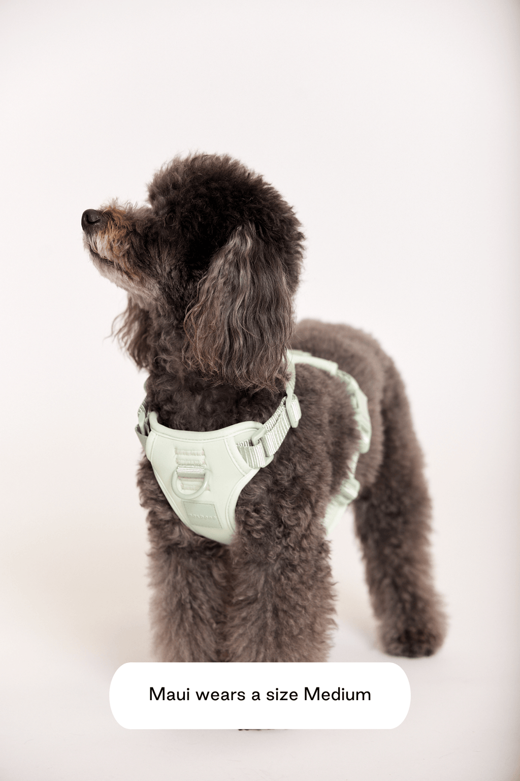 Double Panel Harness