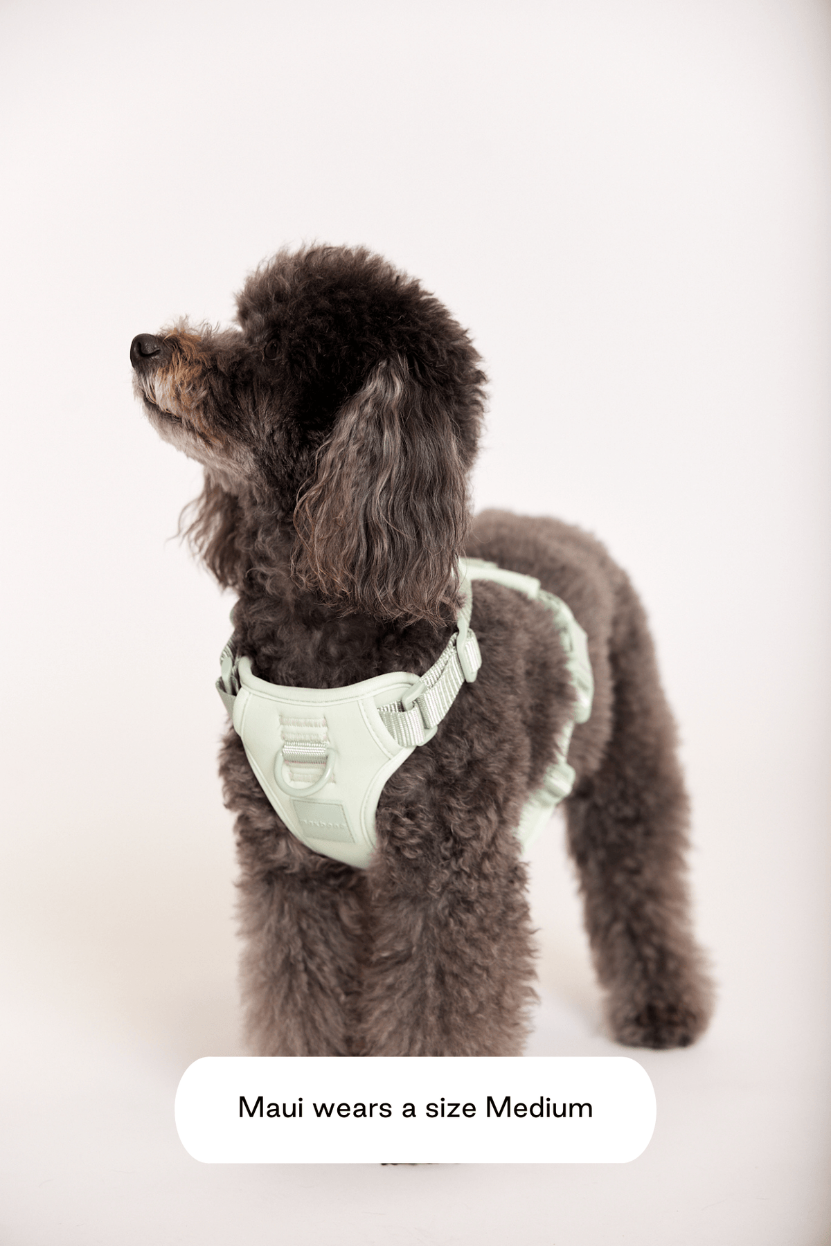 Double Panel Harness