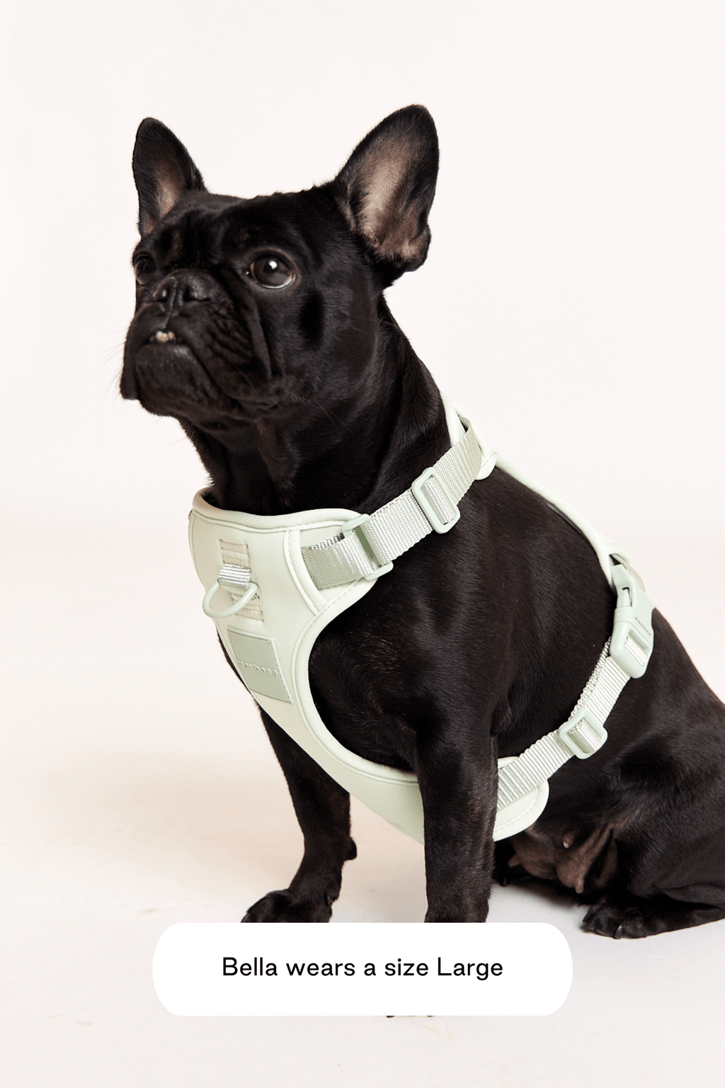 Double Panel Harness