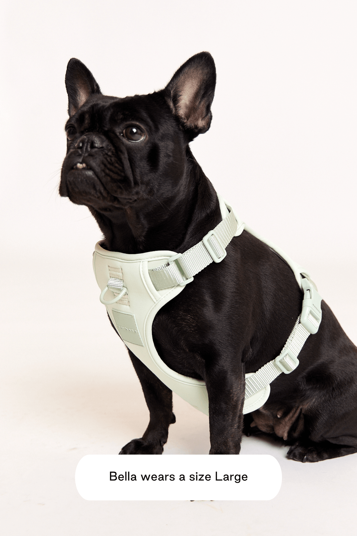 Double Panel Harness