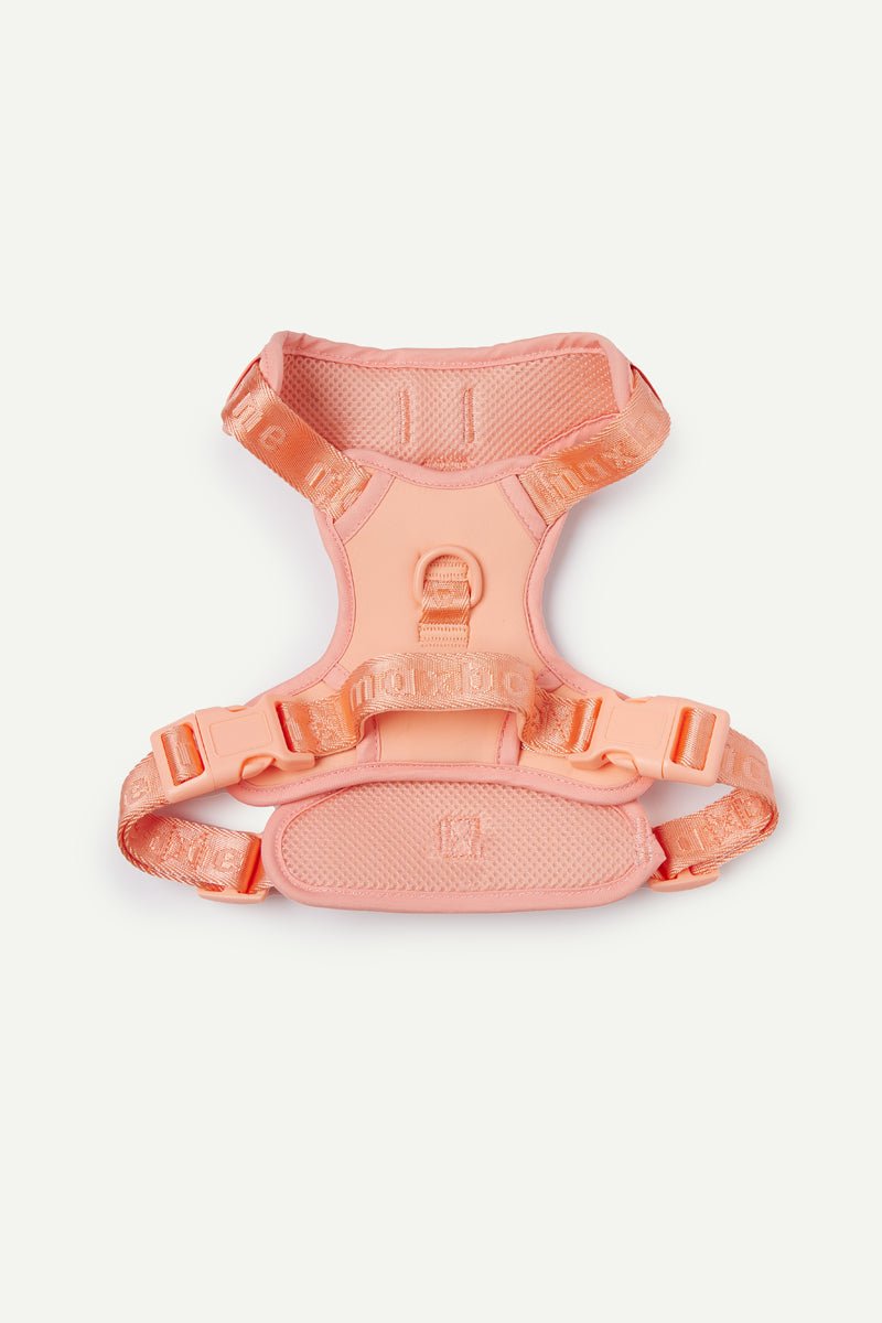 Easy Fit Harness
