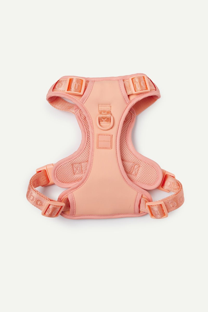 Easy Fit Harness
