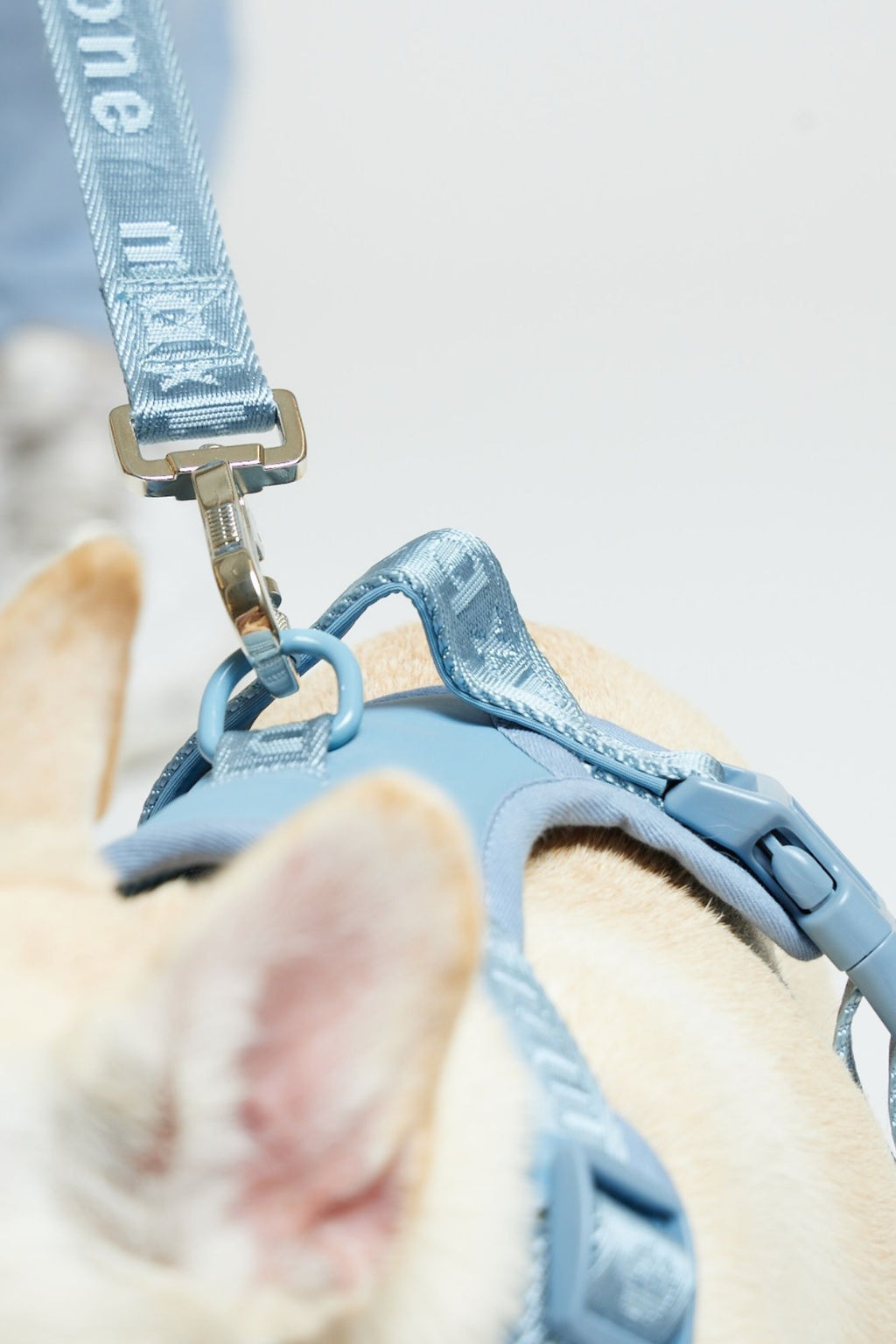 Easy Fit Harness