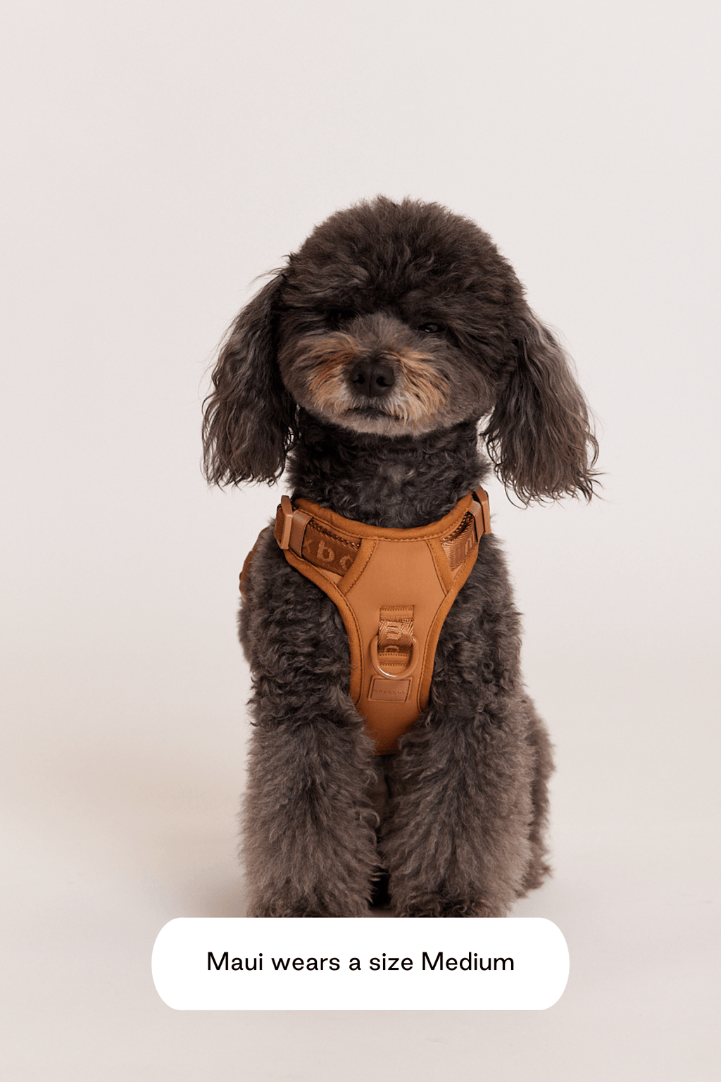 Easy Fit Harness