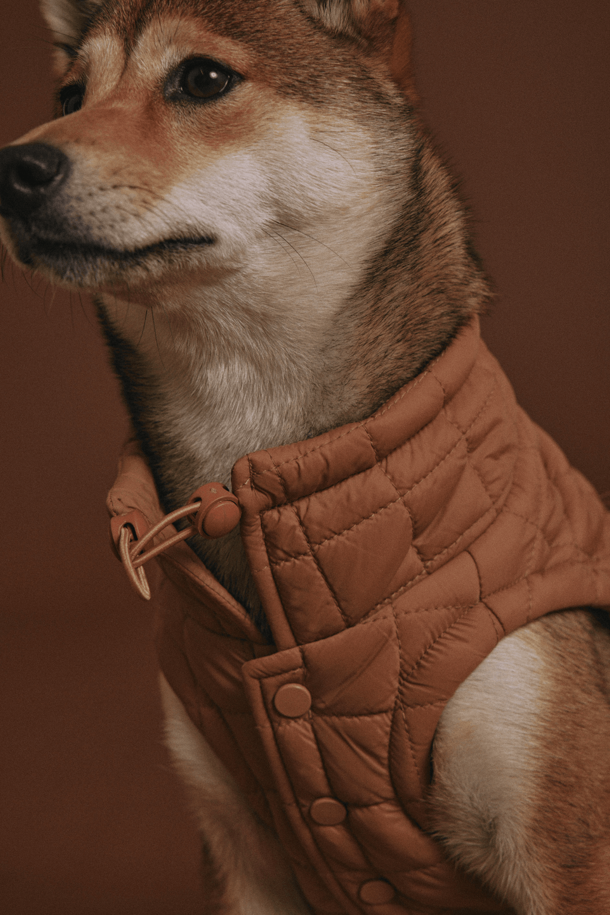 Easy Fit Jacket