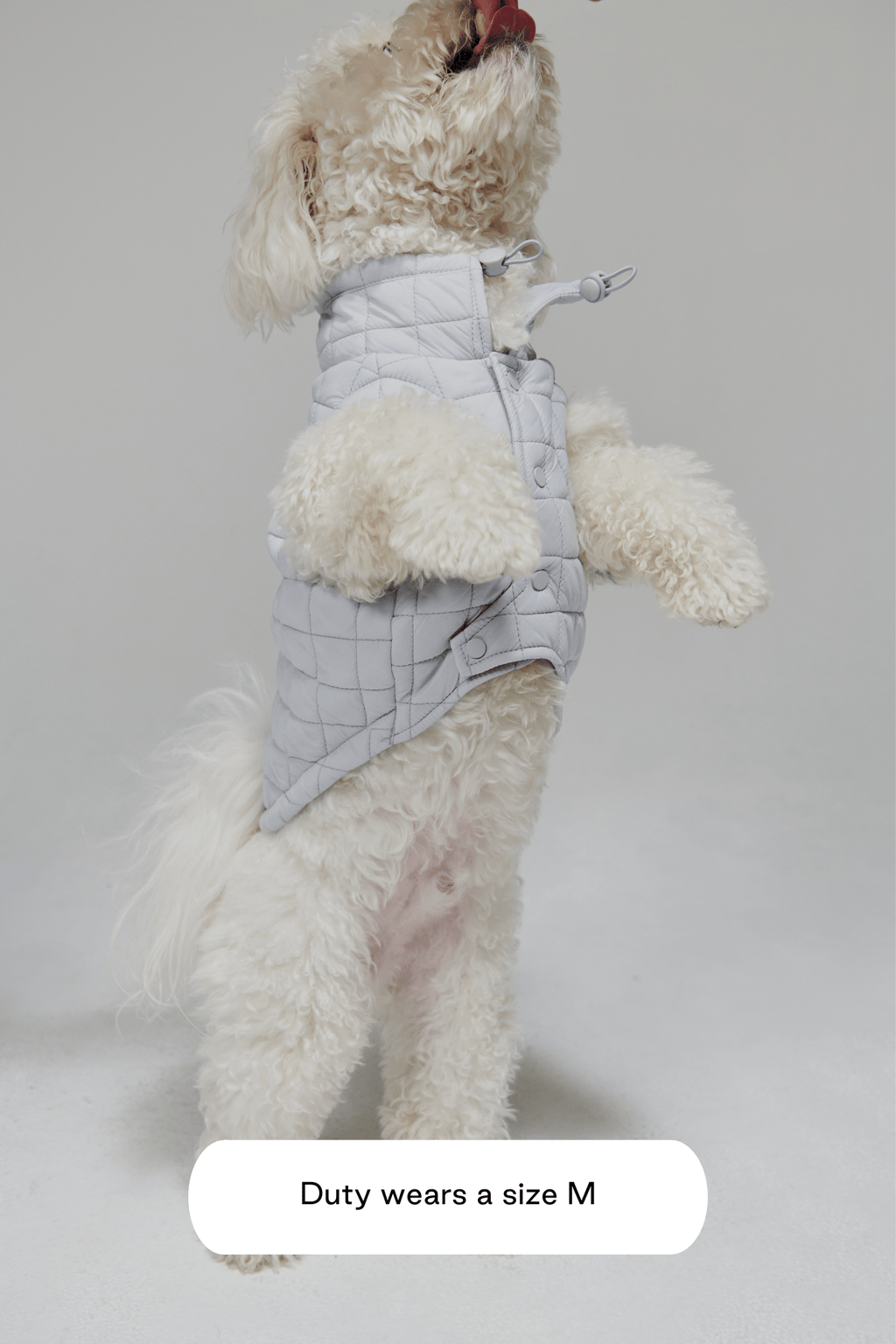 Easy Fit Jacket