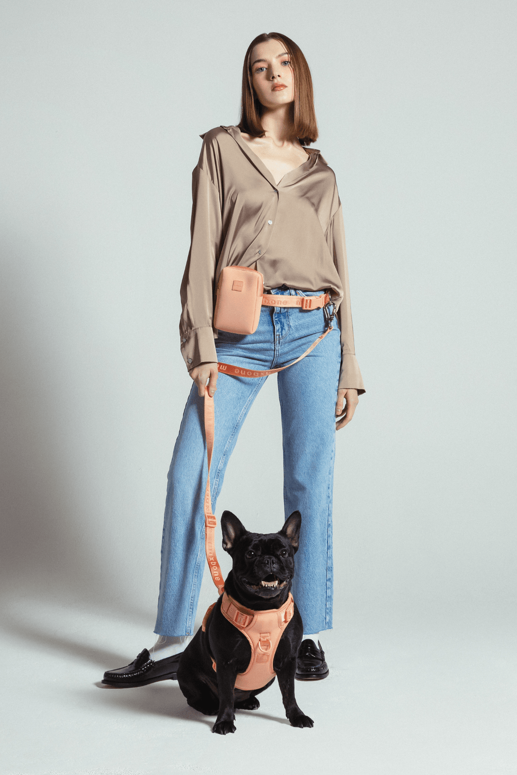 GO! With Ease Hands Free Leash