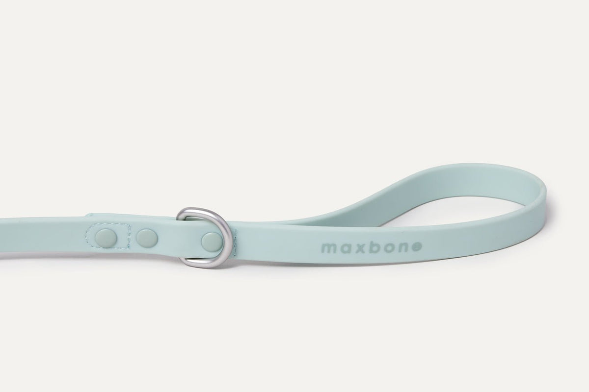 Hazel Leash