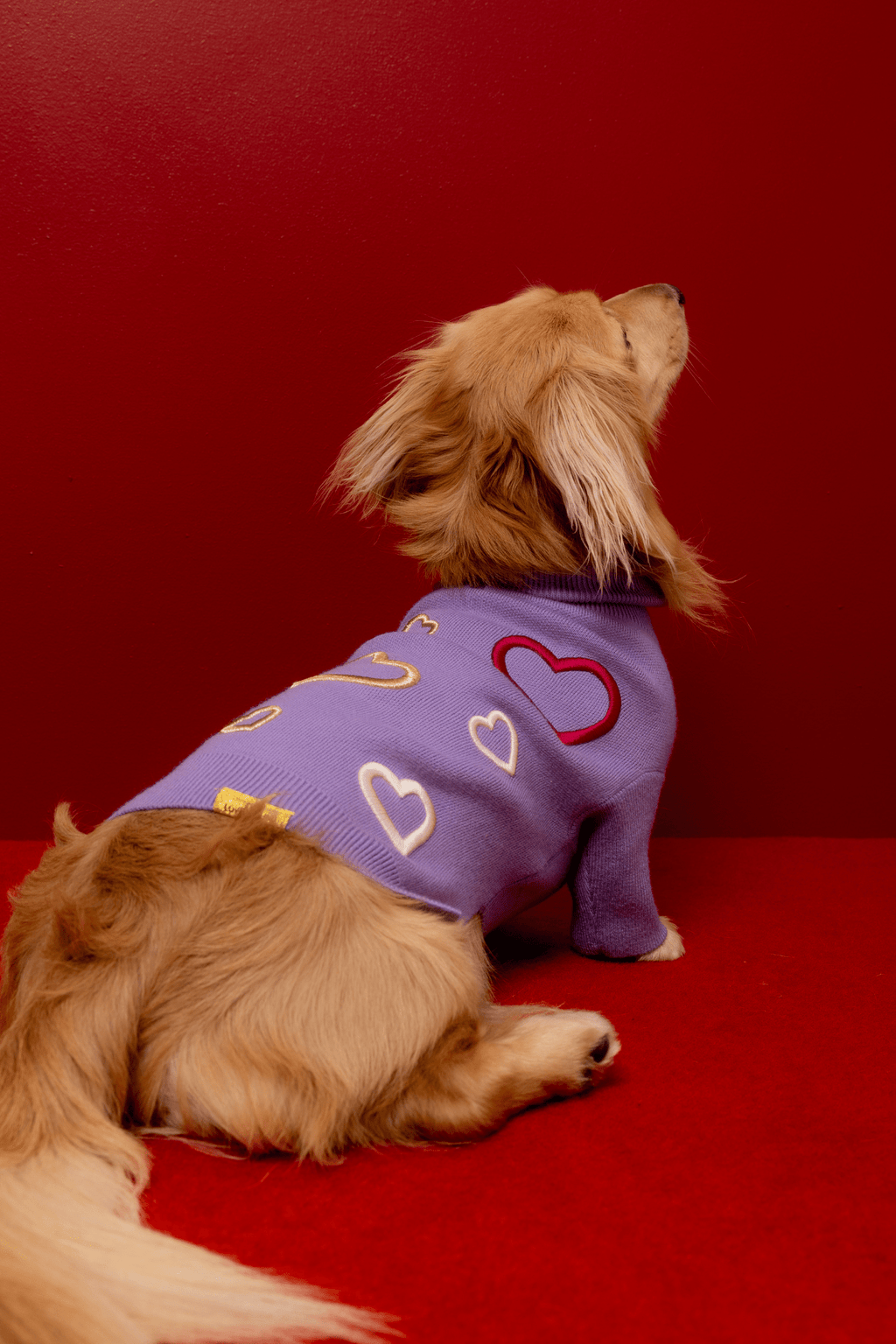 Love Is Blind x maxbone Jumper
