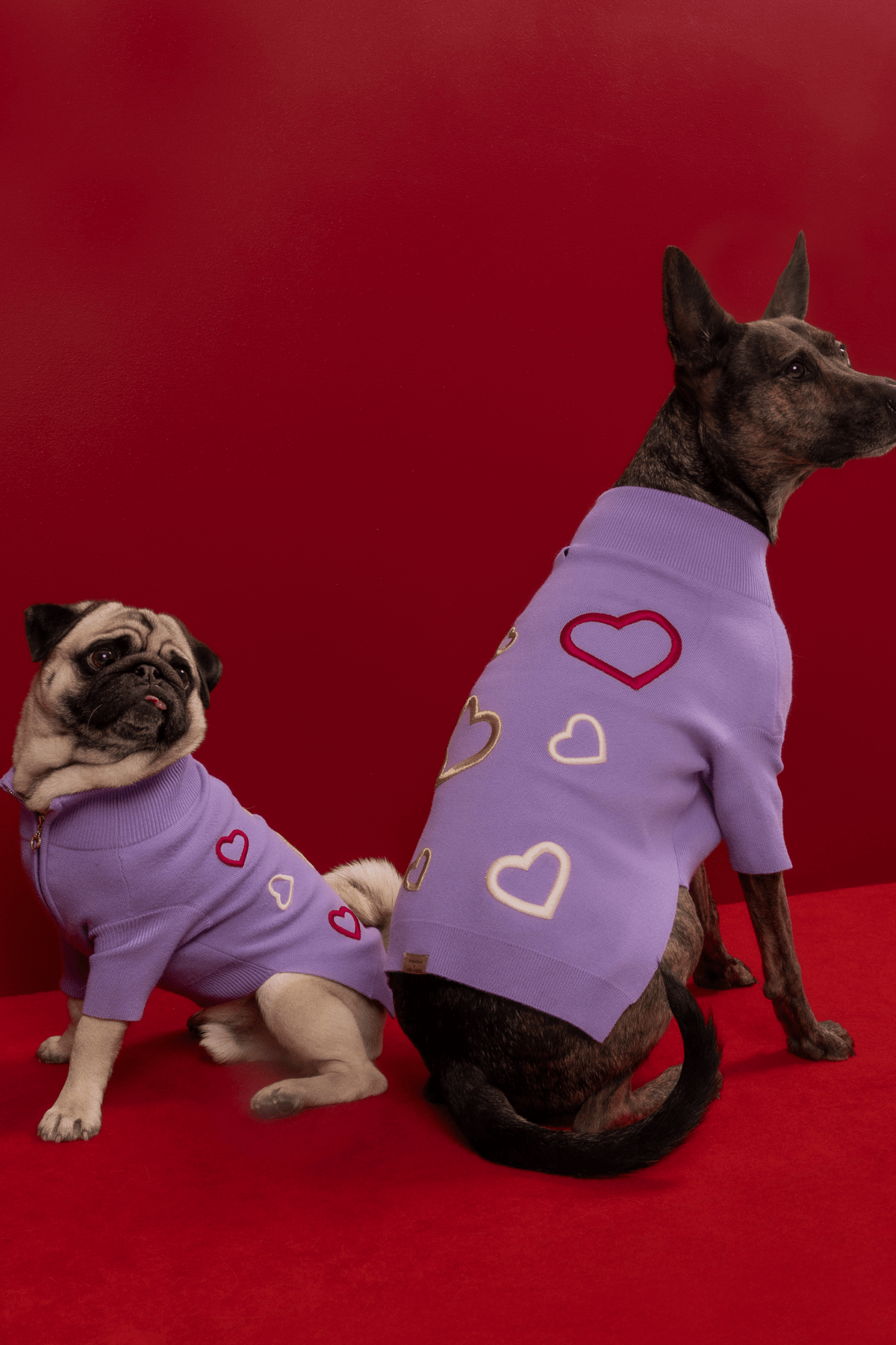 Love Is Blind x maxbone Jumper