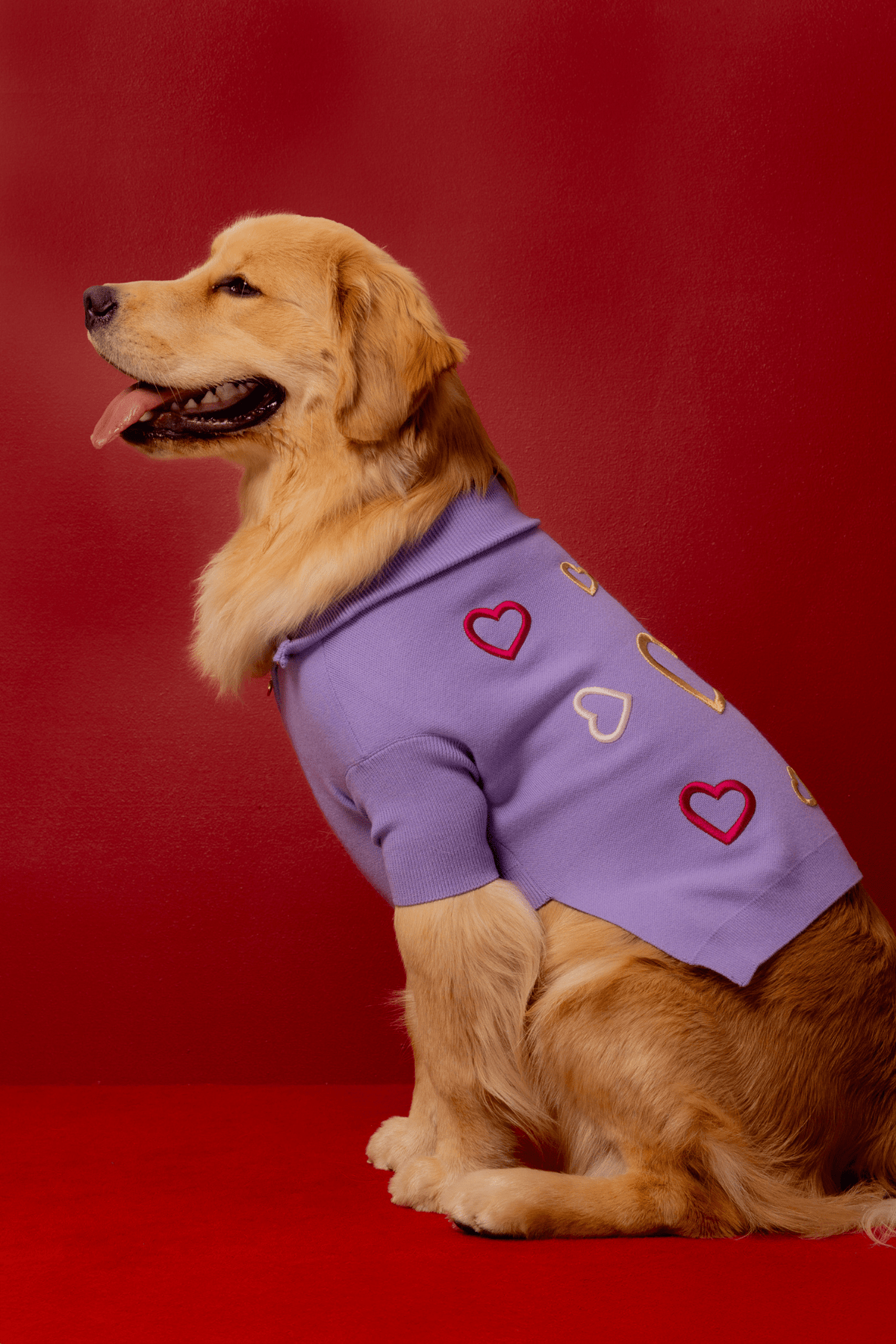 Love Is Blind x maxbone Jumper