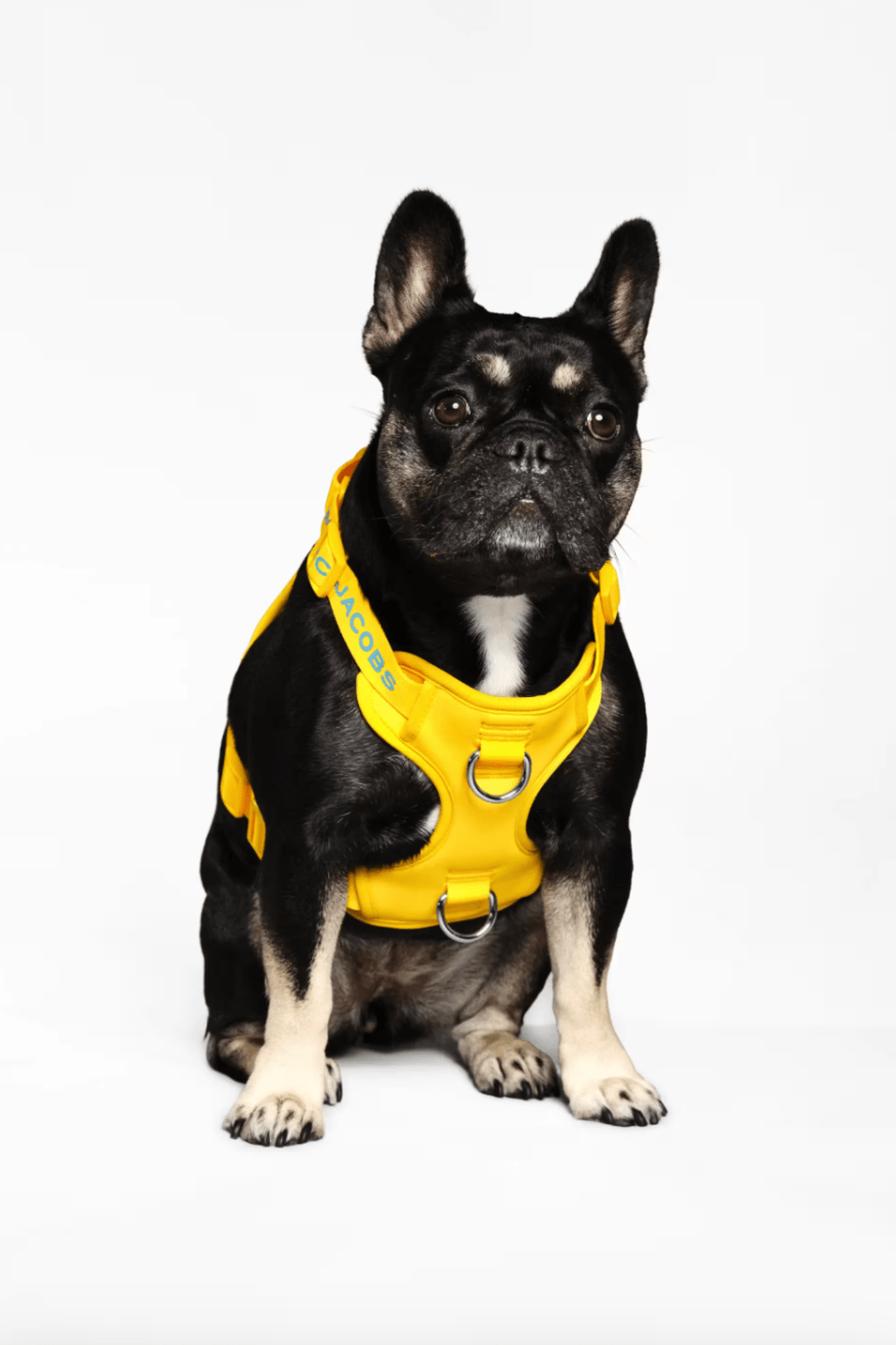 Marc Jacobs x maxbone Harness