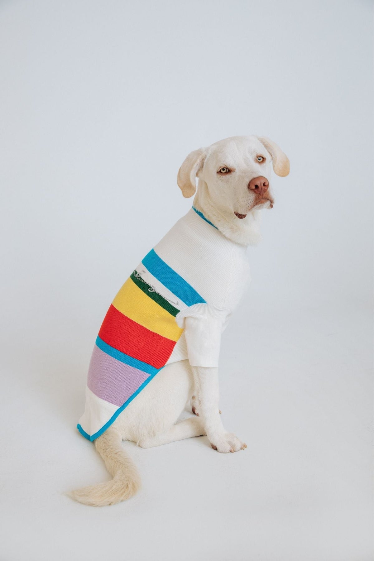 maxbone for Anthropologie Après Jumper