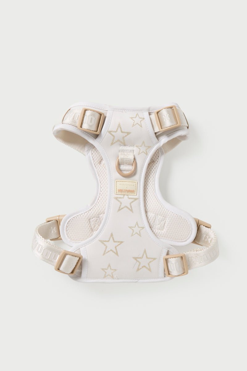 maxbone x Hollywood Walk Set