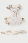 maxbone x Hollywood Walk Set