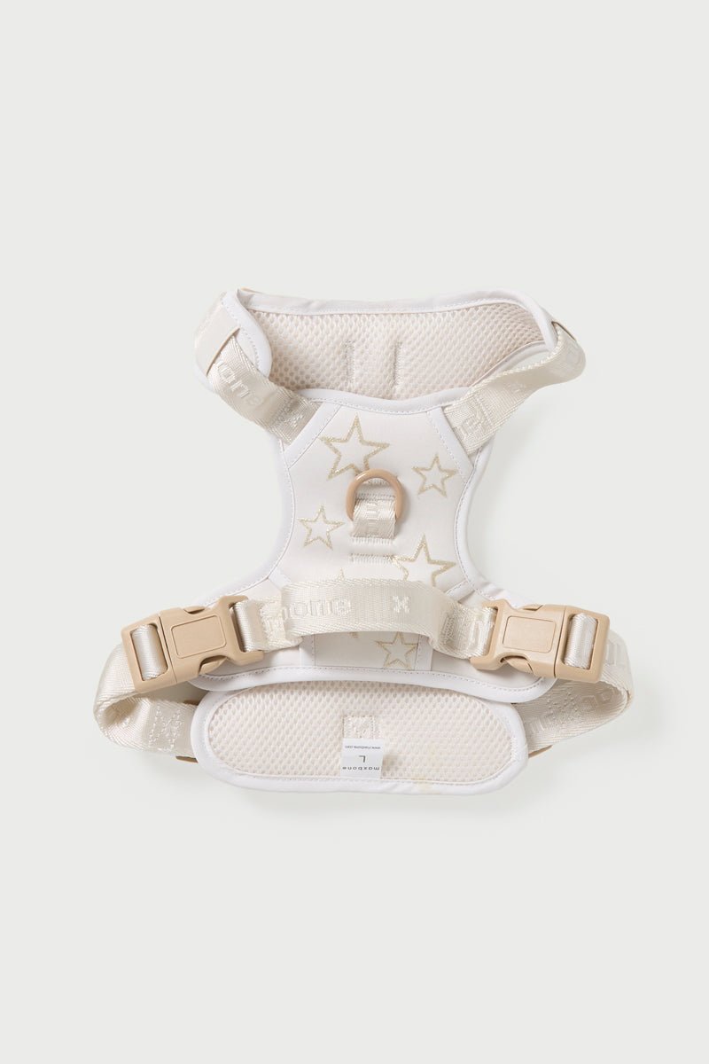 maxbone x Hollywood Walk Set