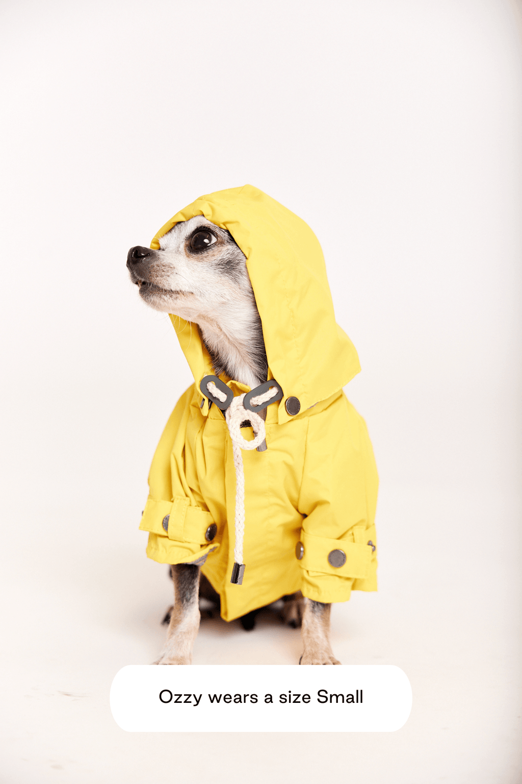 Talon Raincoat